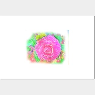 Camellia Pastel Pink Bloom Posters and Art